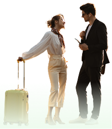 Travellers with luggage after landing