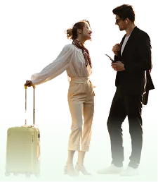 Travellers with luggage after landing
